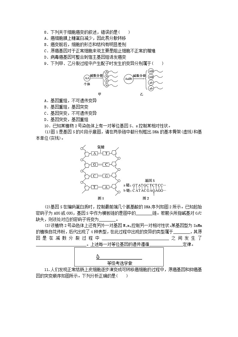新教材2023版高中生物课后分层检测案15基因突变和基因重组新人教版必修202