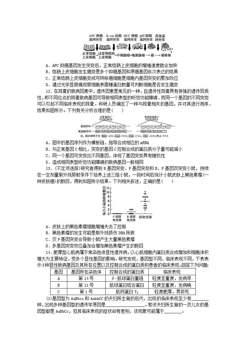 新教材2023版高中生物课后分层检测案15基因突变和基因重组新人教版必修203