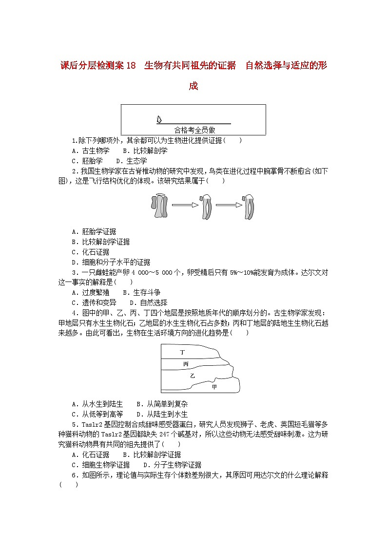 新教材2023版高中生物课后分层检测案18生物有共同祖先的证据自然选择与适应的形成新人教版必修2第1页