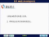 1—1 细胞是生命活动的基本单位 （课件PPT）