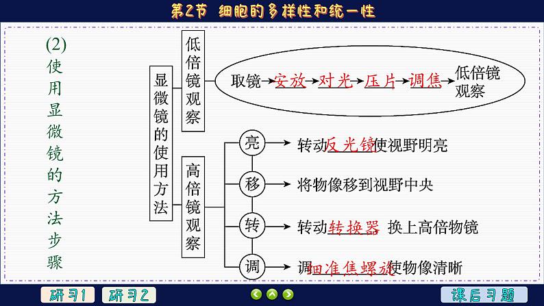 1—2 细胞的多样性和统一性（课件PPT）06