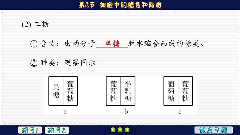 2—3 细胞中的糖类和脂质 （课件PPT）07