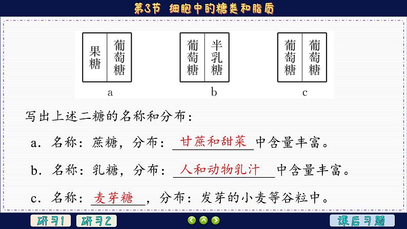 2—3 细胞中的糖类和脂质 （课件PPT）08