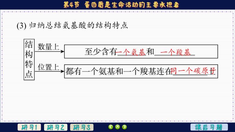 2—4 蛋白质是生命活动的主要承担者（课件PPT）07