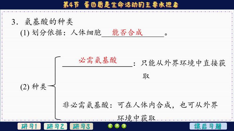 2—4 蛋白质是生命活动的主要承担者（课件PPT）08