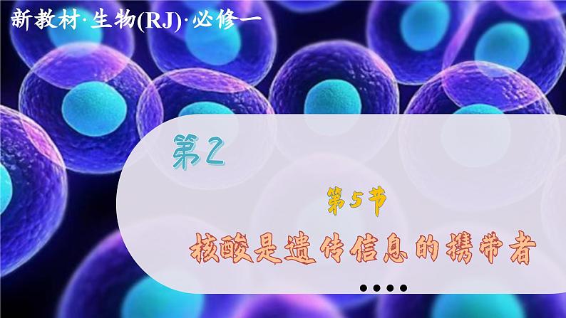 2—5 核酸是遗传信息的携带者 （课件PPT）第1页