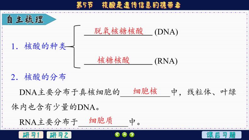2—5 核酸是遗传信息的携带者 （课件PPT）05