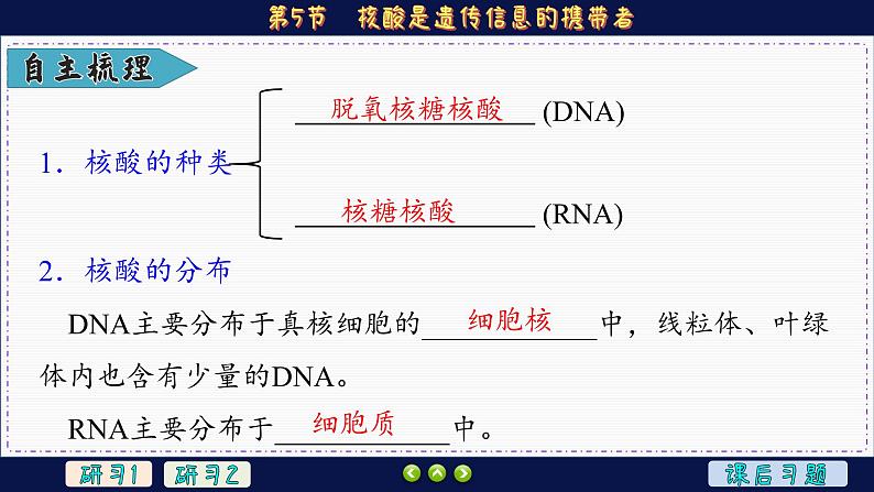 2—5 核酸是遗传信息的携带者 （课件PPT）第5页