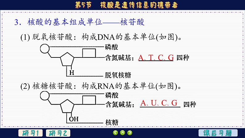 2—5 核酸是遗传信息的携带者 （课件PPT）第6页