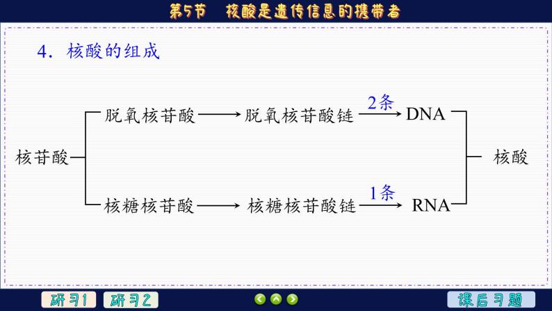 2—5 核酸是遗传信息的携带者 （课件PPT）07