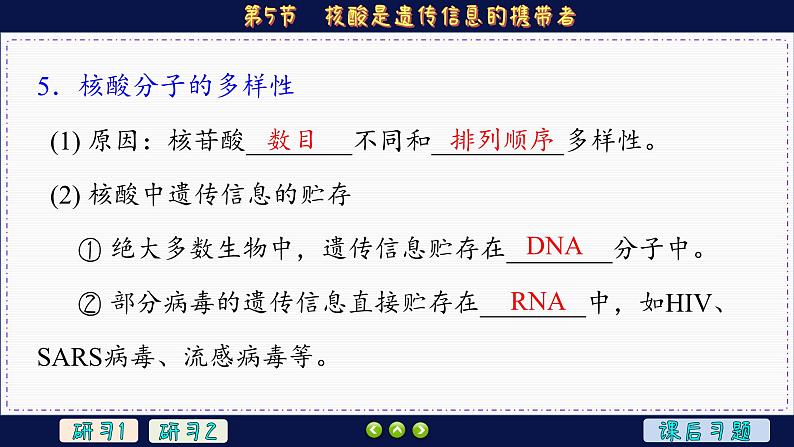 2—5 核酸是遗传信息的携带者 （课件PPT）第8页