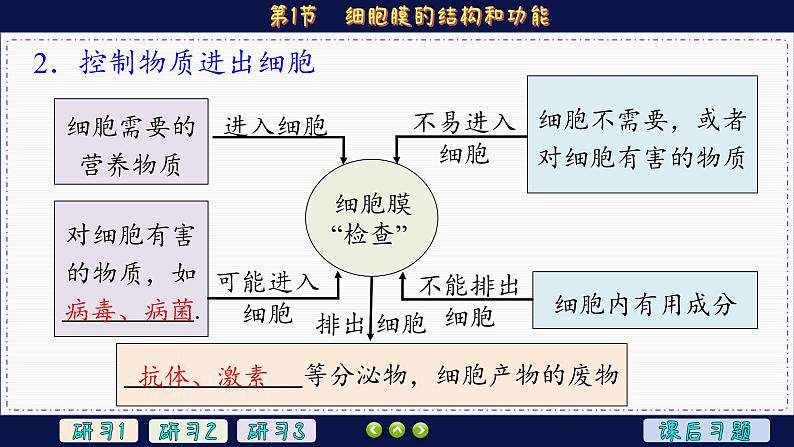 3—1 细胞膜的结构和功能 （课件PPT）第6页