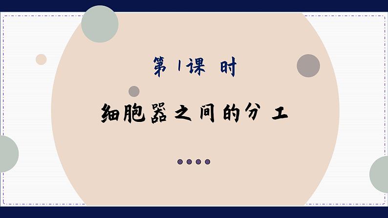 3—2—1 细胞器之间的分工合作 （课件PPT）第2页