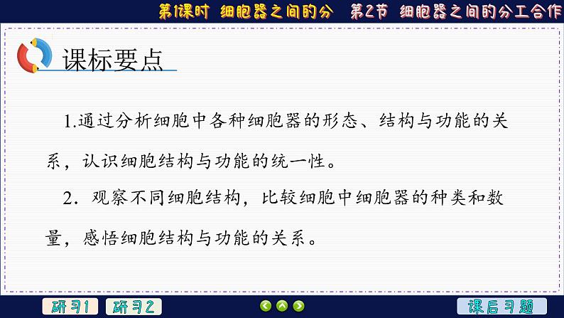 3—2—1 细胞器之间的分工合作 （课件PPT）第3页