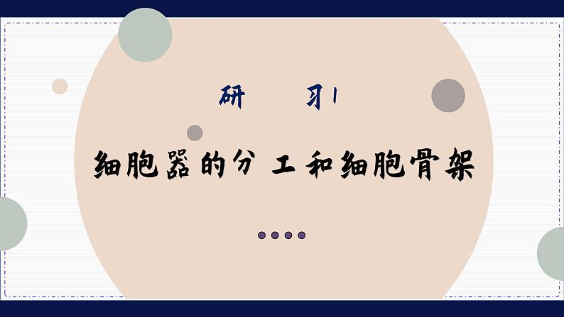 3—2—1 细胞器之间的分工合作 （课件PPT）第5页