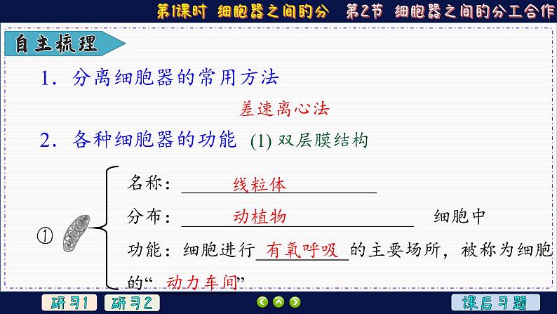 3—2—1 细胞器之间的分工合作 （课件PPT）第6页