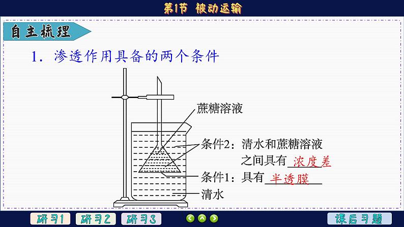 4—1 被动运输 （课件PPT）第6页