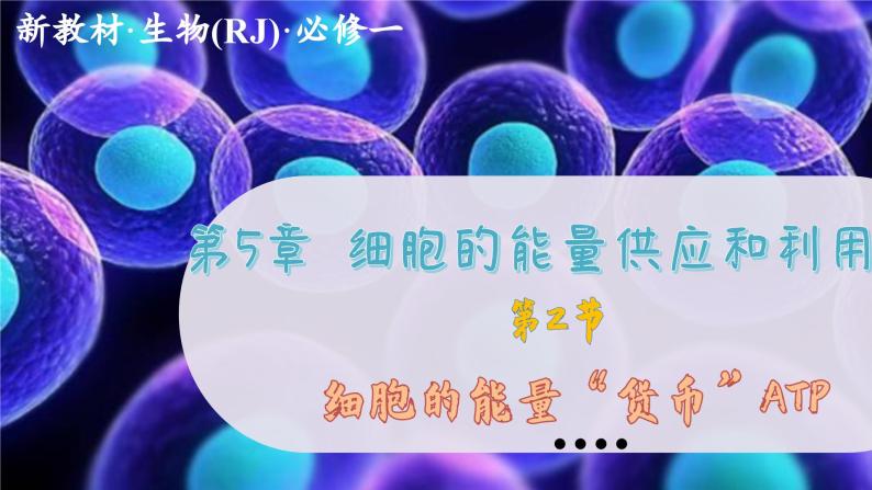 5—2 细胞的能量“货币”ATP （课件PPT）01