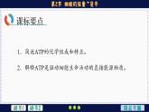 5—2 细胞的能量“货币”ATP （课件PPT）