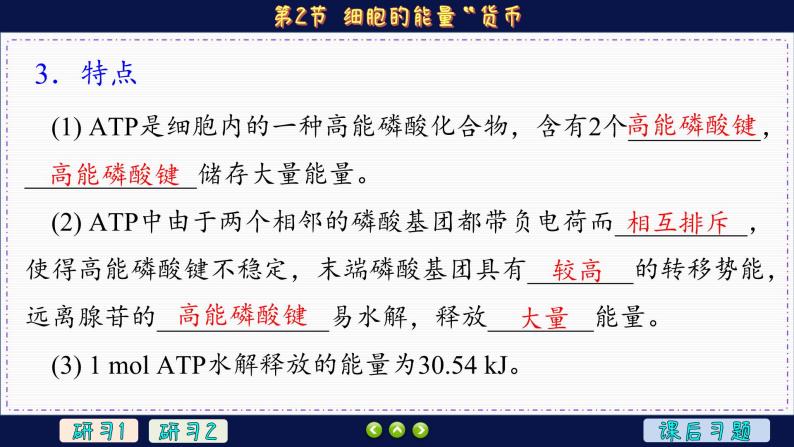 5—2 细胞的能量“货币”ATP （课件PPT）06