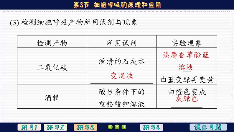 5—3 细胞呼吸的原理和应用 （课件PPT）08