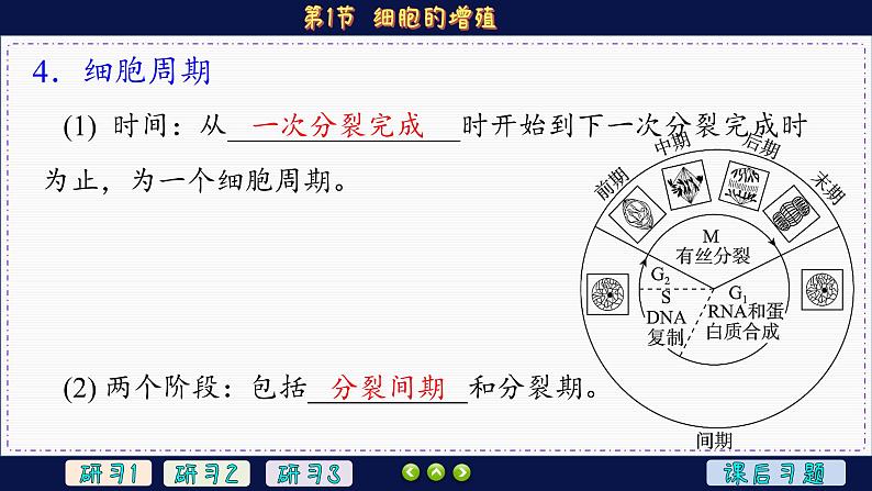 6—1 细胞的增殖 （课件PPT）08