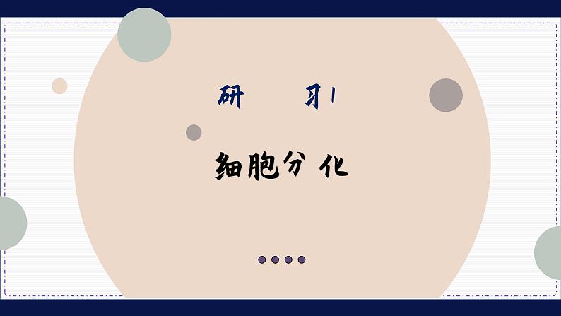 6—2 细胞的分化 （课件PPT）05