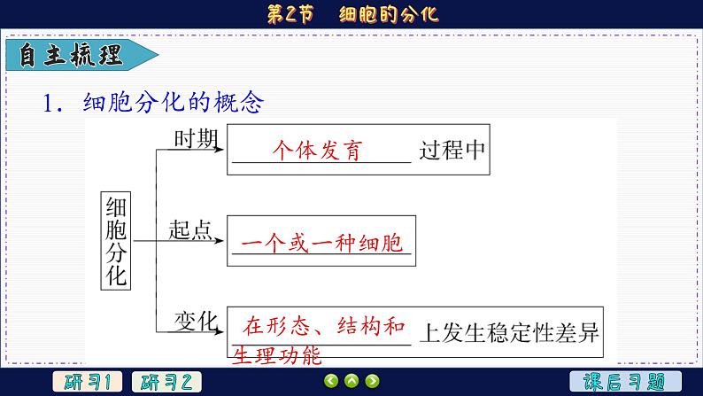 6—2 细胞的分化 （课件PPT）06