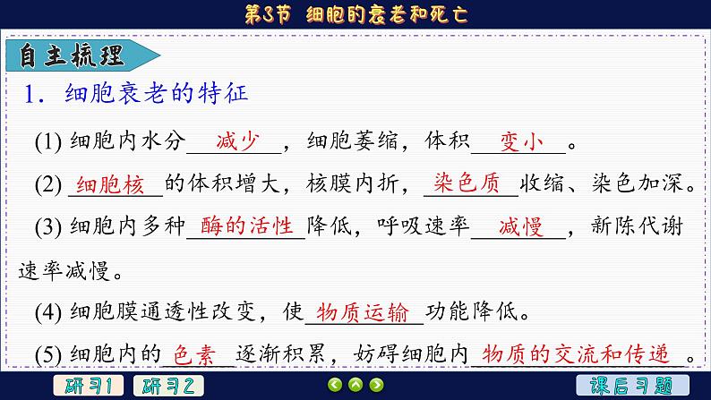 6—3 细胞的衰老和死亡（课件PPT）06