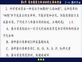 2—4 蛋白质是生命活动的主要承担者（练习课件PPT）