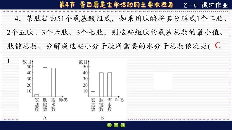 2—4 蛋白质是生命活动的主要承担者（练习课件PPT）08