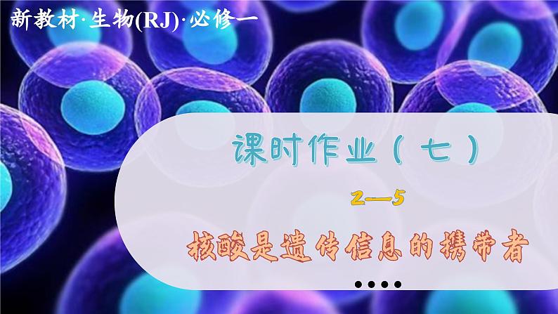 2—5 核酸是遗传信息的携带者 （练习课件PPT）第1页