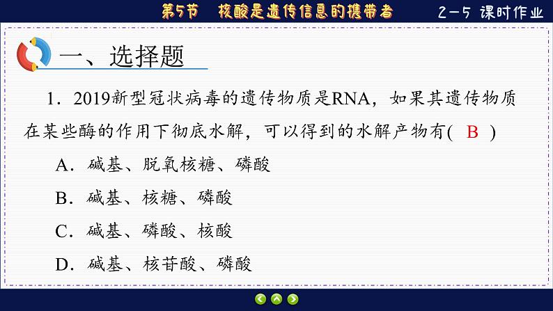 2—5 核酸是遗传信息的携带者 （练习课件PPT）第2页