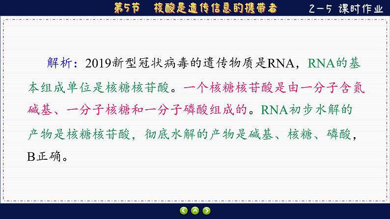 2—5 核酸是遗传信息的携带者 （练习课件PPT）第3页