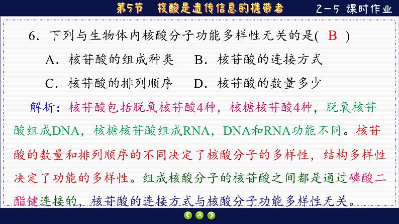 2—5 核酸是遗传信息的携带者 （练习课件PPT）第8页