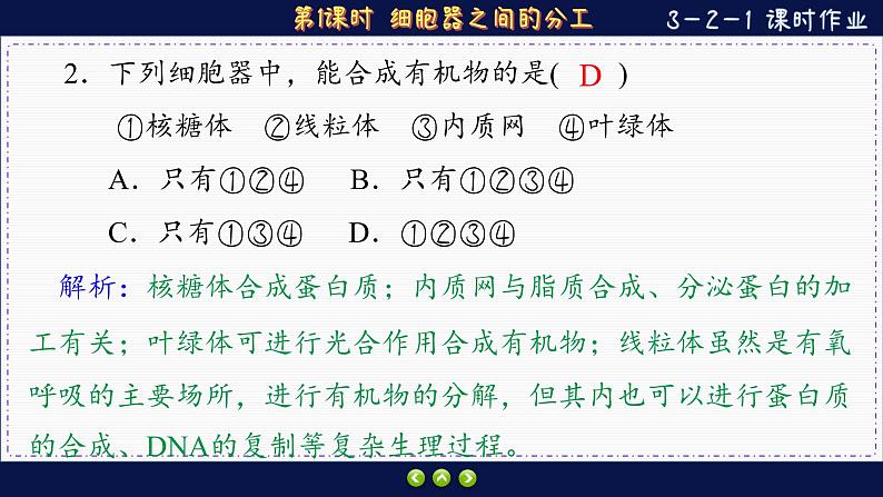 3—2—1 细胞器之间的分工合作 （练习课件PPT）04