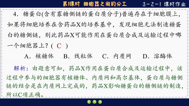 3—2—1 细胞器之间的分工合作 （练习课件PPT）06