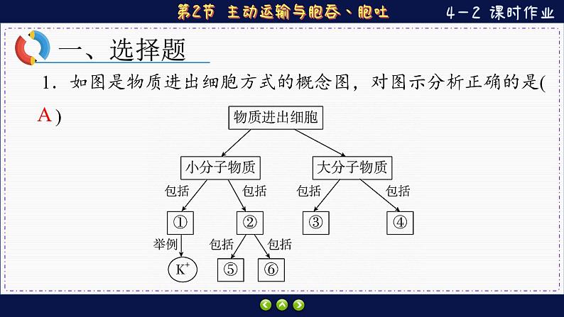 4—2 主动运输与胞吞、胞吐 （练习课件PPT）02