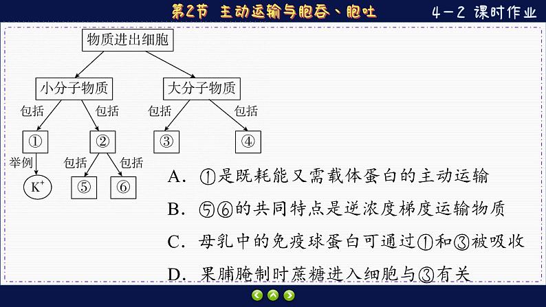 4—2 主动运输与胞吞、胞吐 （练习课件PPT）03