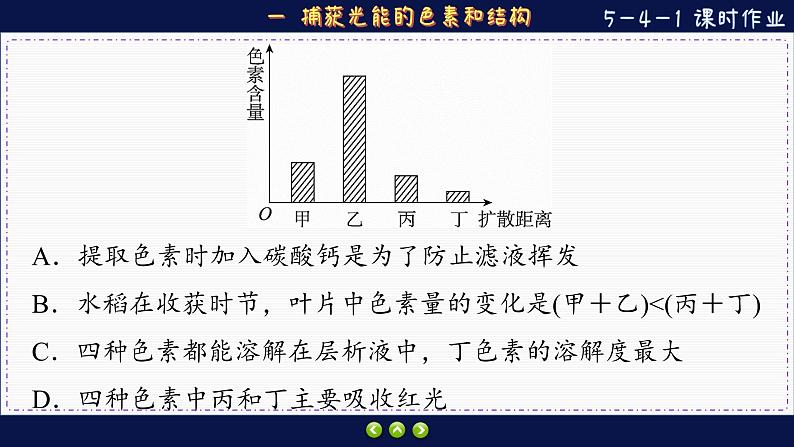 5—4—1 捕获光能的色素和结构 （练习课件PPT）03