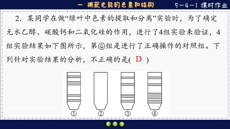 5—4—1 捕获光能的色素和结构 （练习课件PPT）05