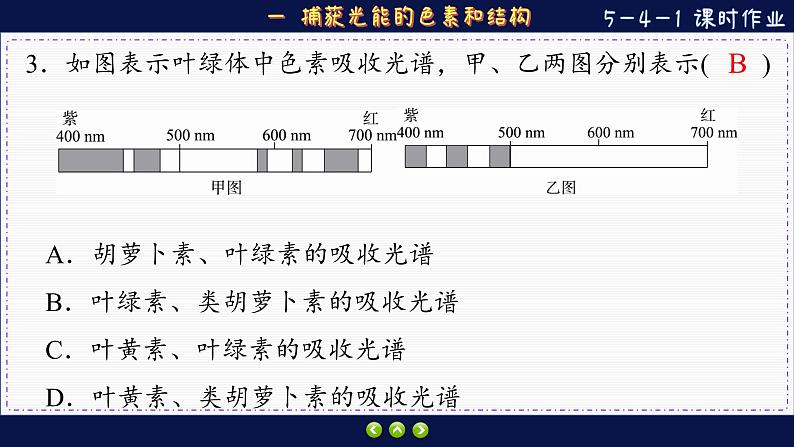 5—4—1 捕获光能的色素和结构 （练习课件PPT）08