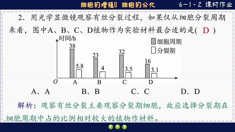 6—1 细胞的增殖、分化 （练习课件PPT）04