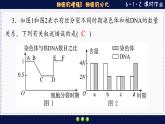 6—1 细胞的增殖、分化 （练习课件PPT）