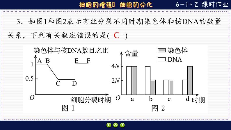 6—1 细胞的增殖、分化 （练习课件PPT）05