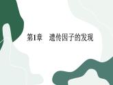 1.2《孟德尔的豌豆杂交实验（二）》课件PPT