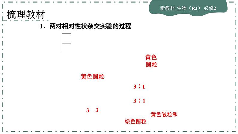 1.2《孟德尔的豌豆杂交实验（二）》课件PPT05