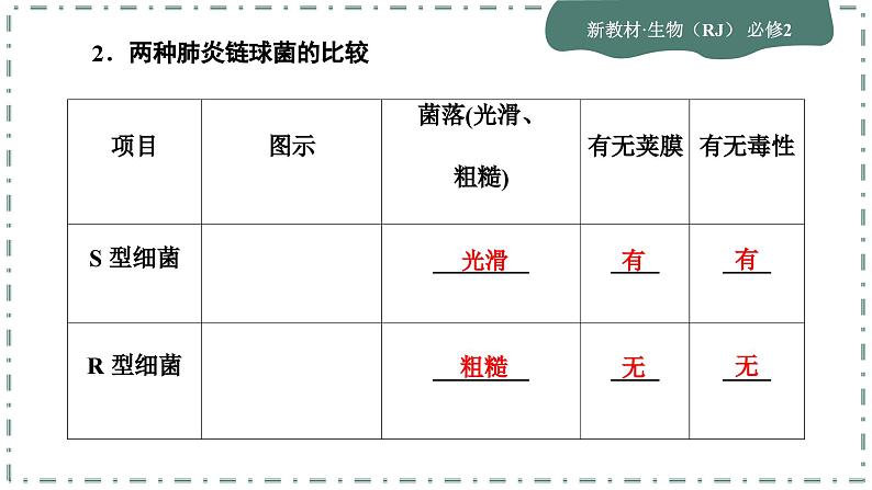 3.1《DNA是主要的遗传物质》课件PPT第6页