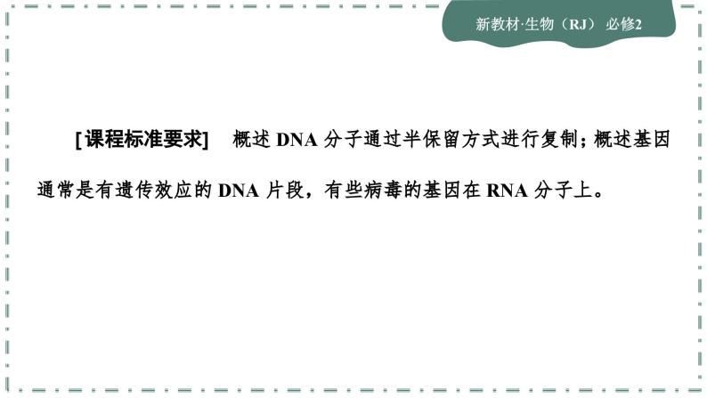 3.3《DNA的复制》3.4《基因通常是有遗传效应的DNA片段》课件PPT03