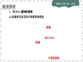 3.3《DNA的复制》3.4《基因通常是有遗传效应的DNA片段》课件PPT